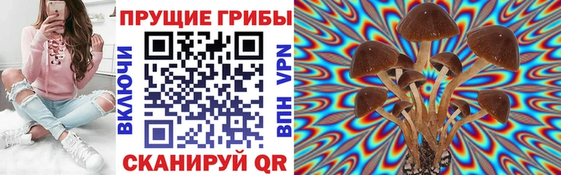 как найти закладки  Новый Оскол  Галлюциногенные грибы MAGIC MUSHROOMS 